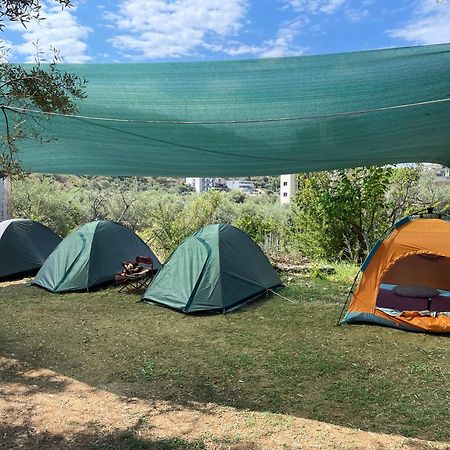 فندق Olive Camping هيماري المظهر الخارجي الصورة