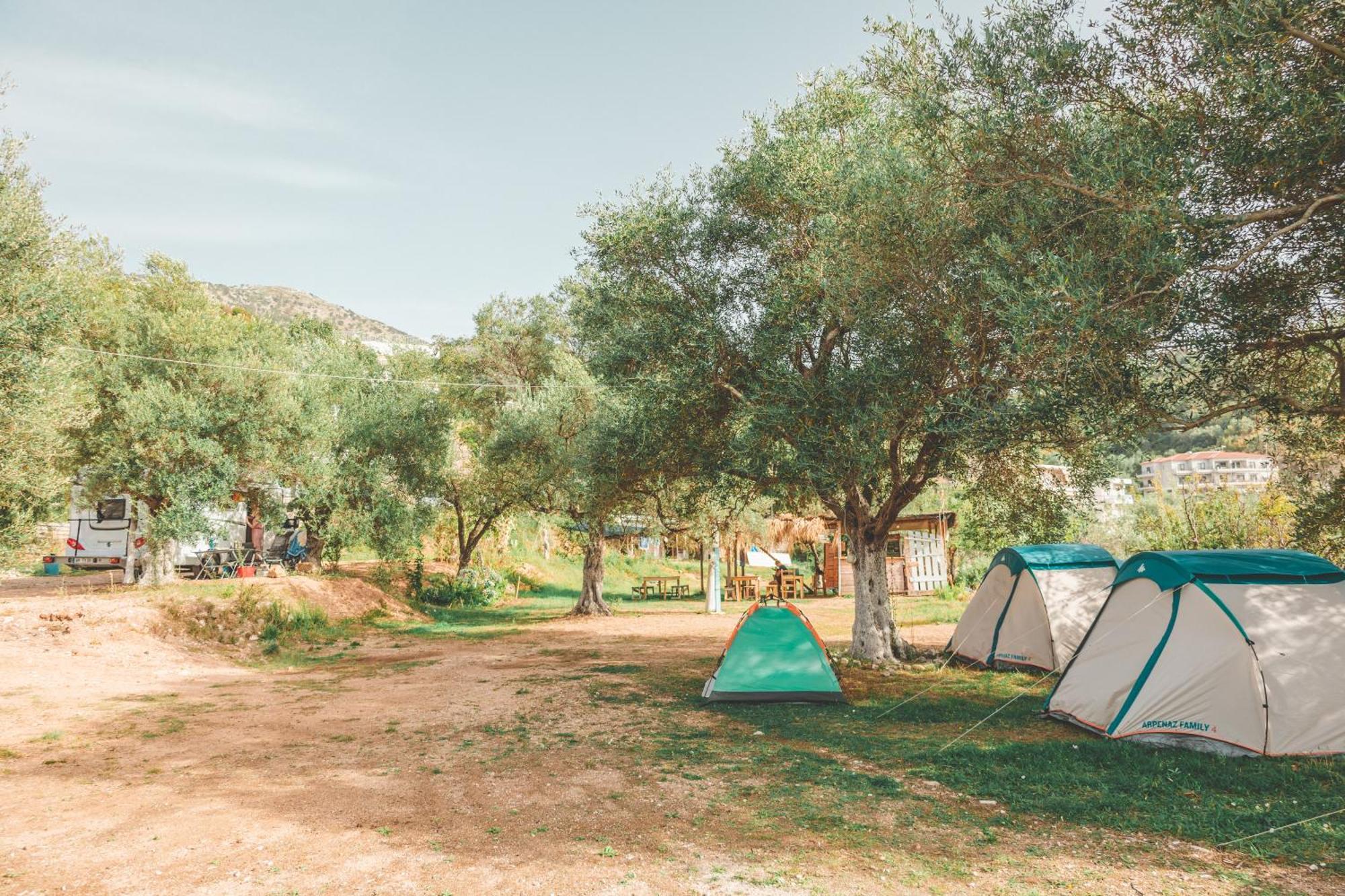 فندق Olive Camping هيماري المظهر الخارجي الصورة