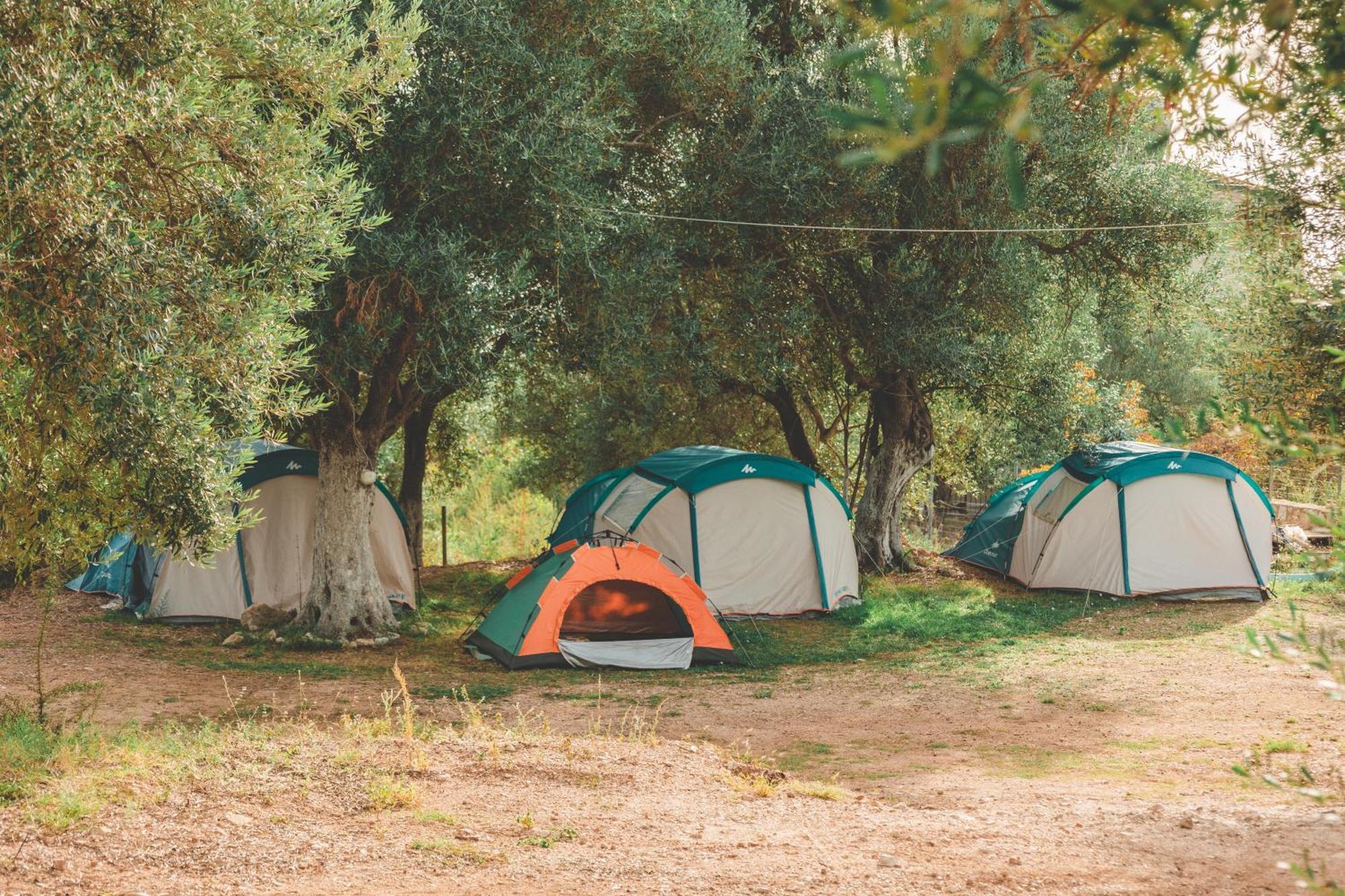 فندق Olive Camping هيماري المظهر الخارجي الصورة