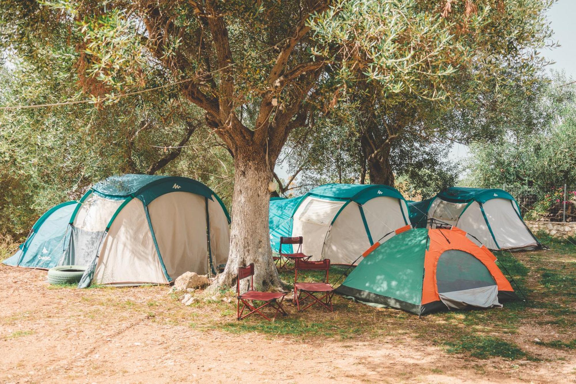 فندق Olive Camping هيماري المظهر الخارجي الصورة