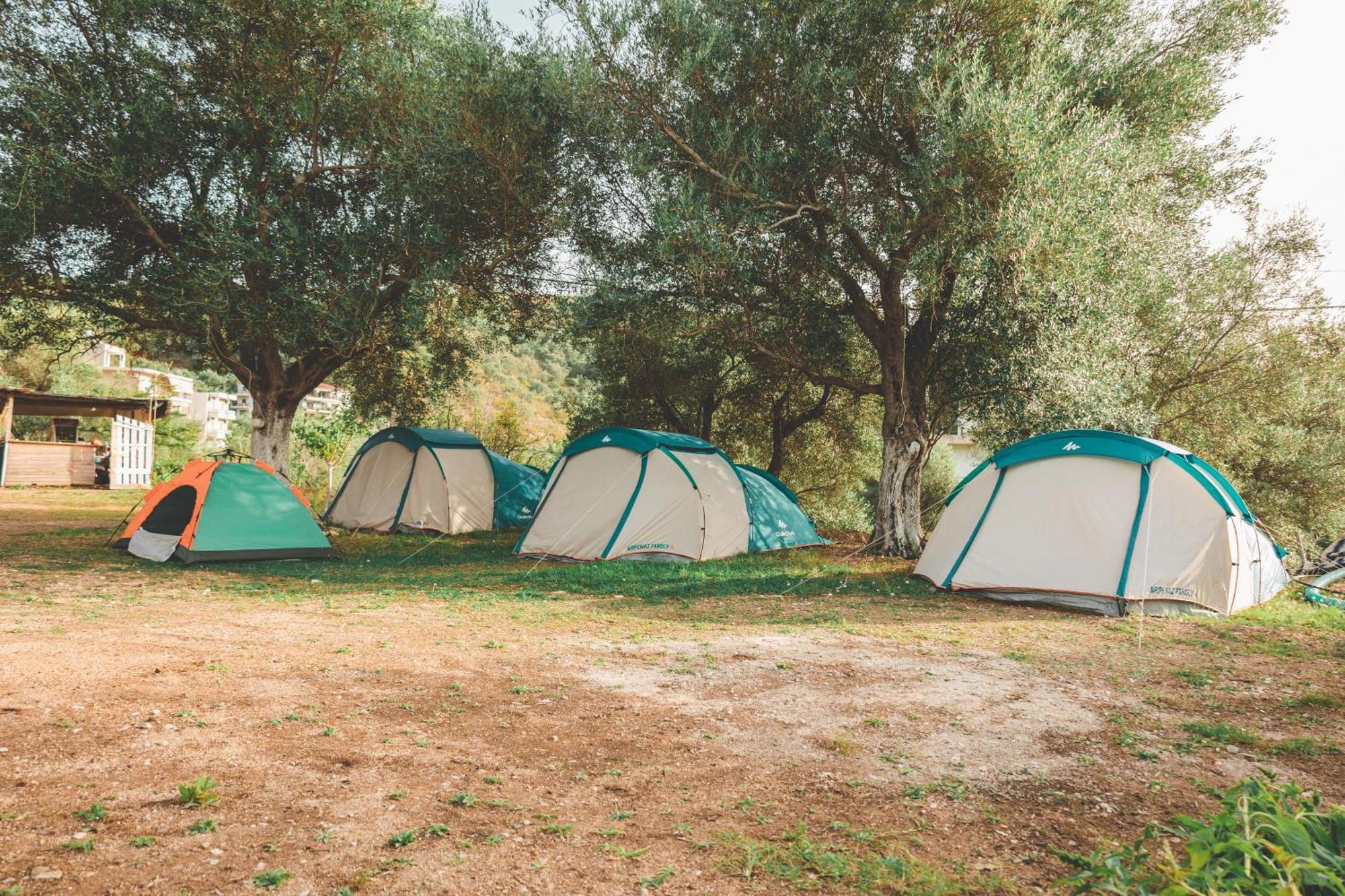 فندق Olive Camping هيماري المظهر الخارجي الصورة