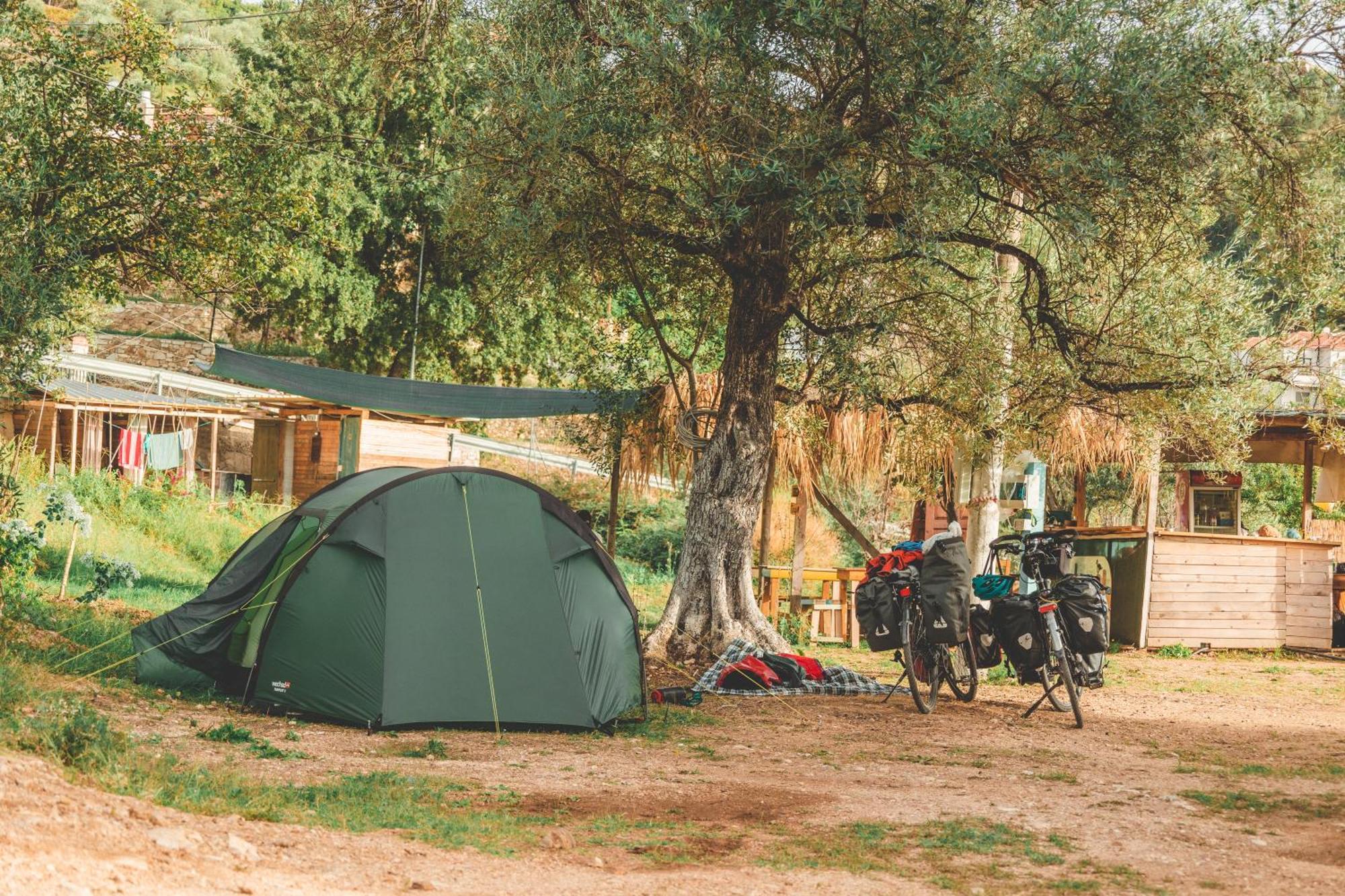 Olive Camping هيماري المظهر الخارجي الصورة