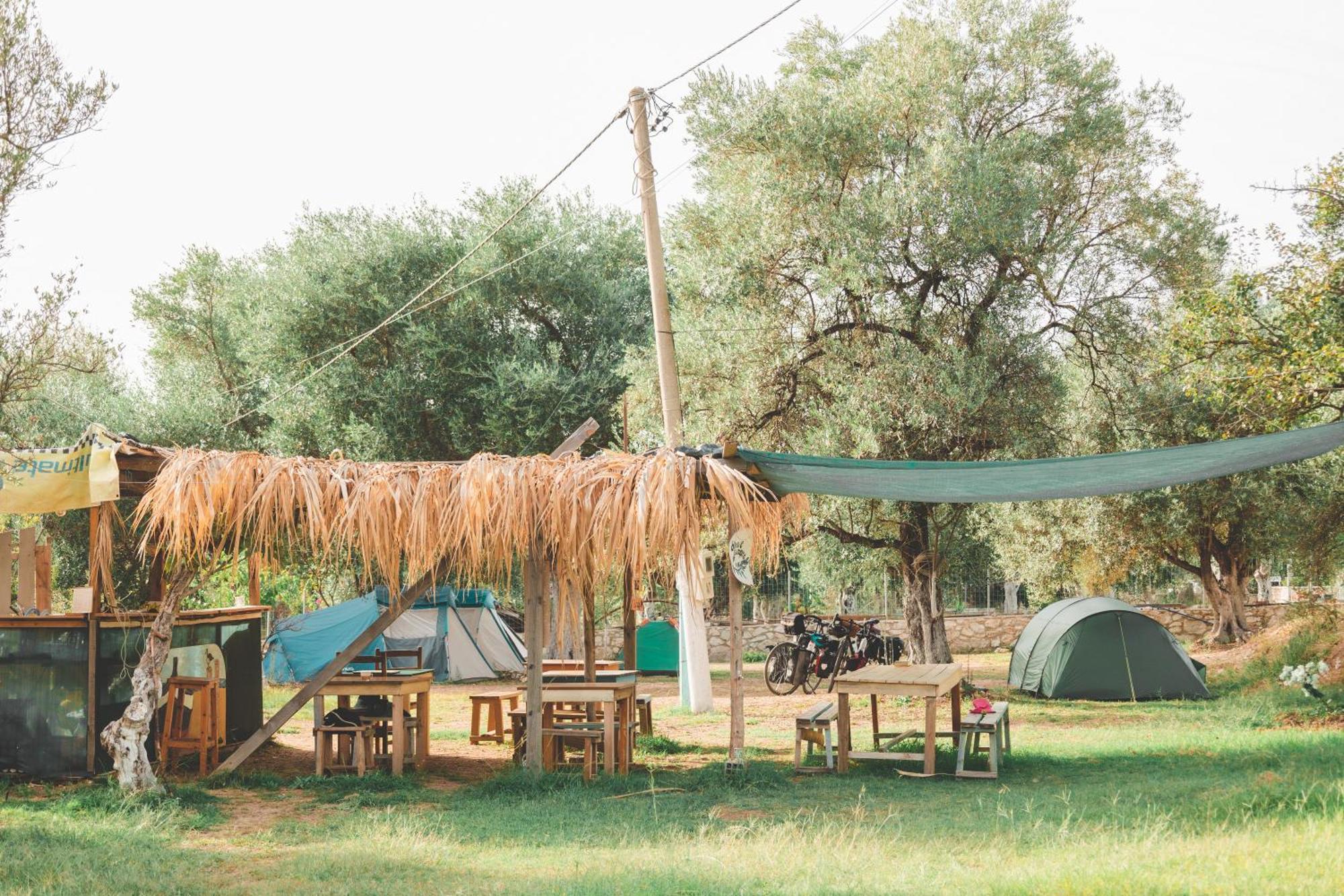 فندق Olive Camping هيماري المظهر الخارجي الصورة