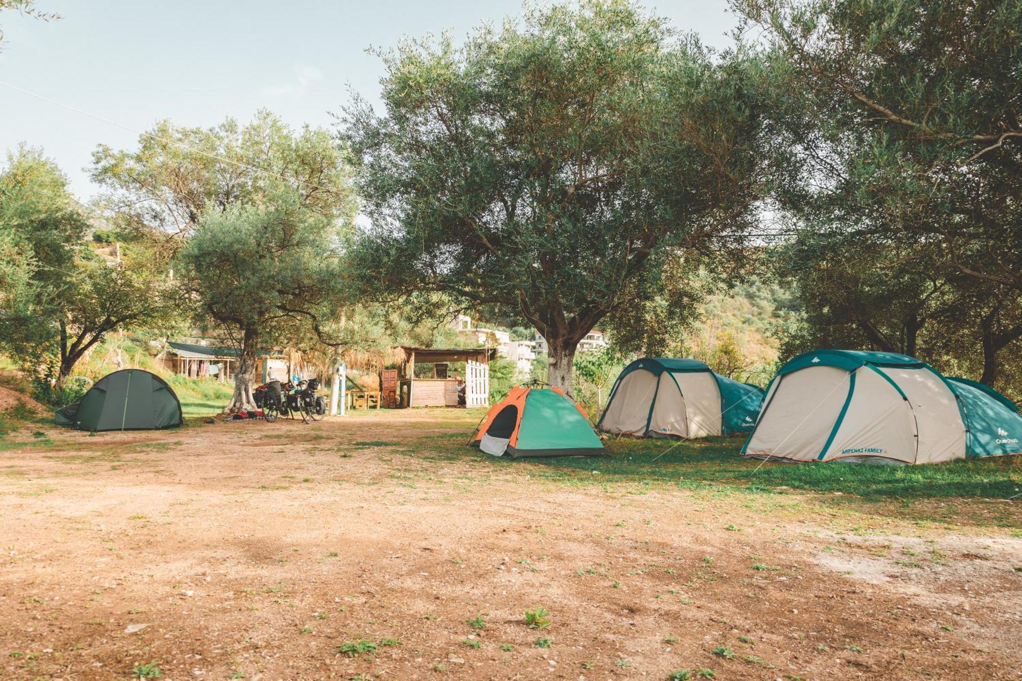 فندق Olive Camping هيماري المظهر الخارجي الصورة