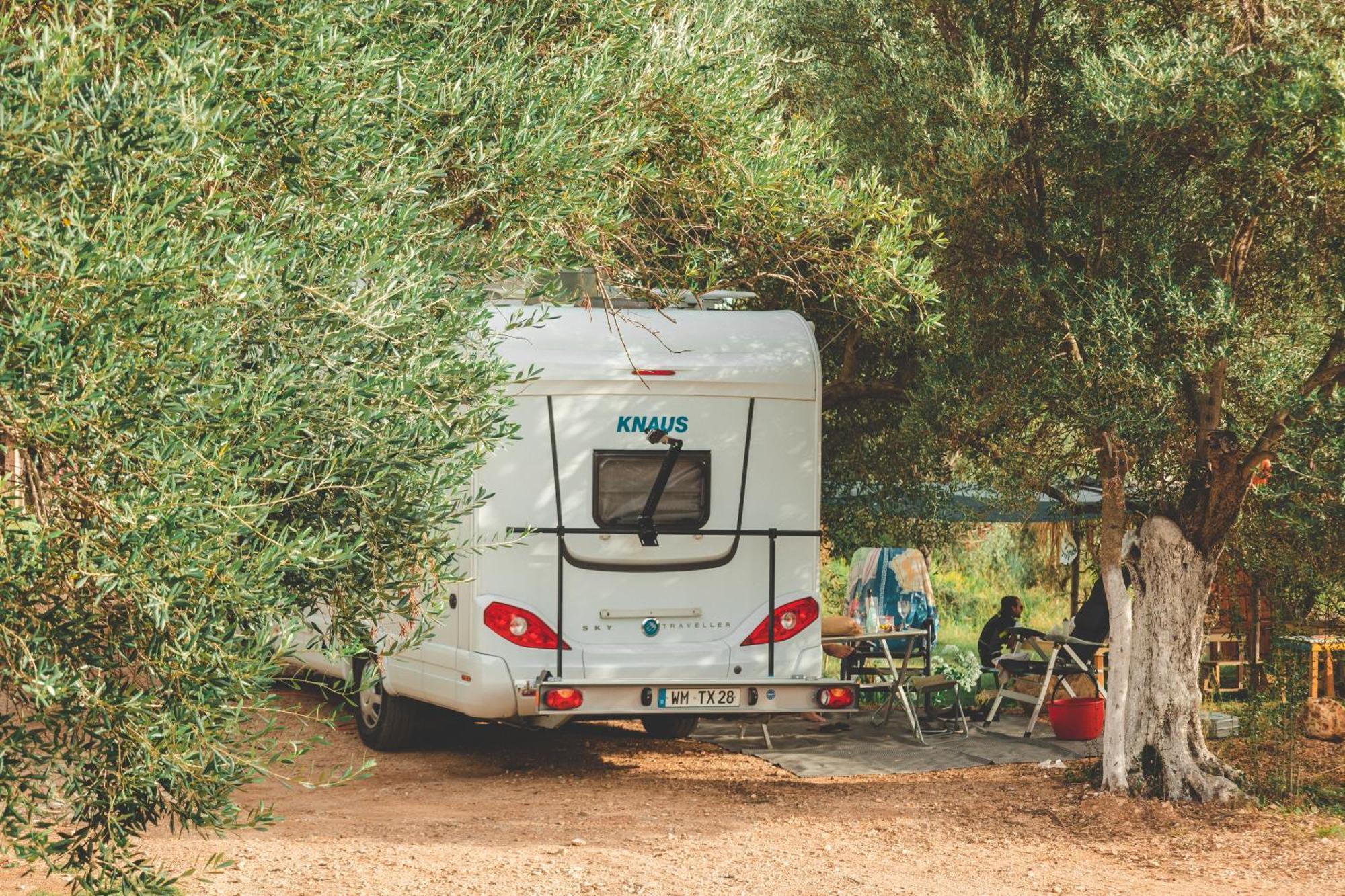 فندق Olive Camping هيماري المظهر الخارجي الصورة