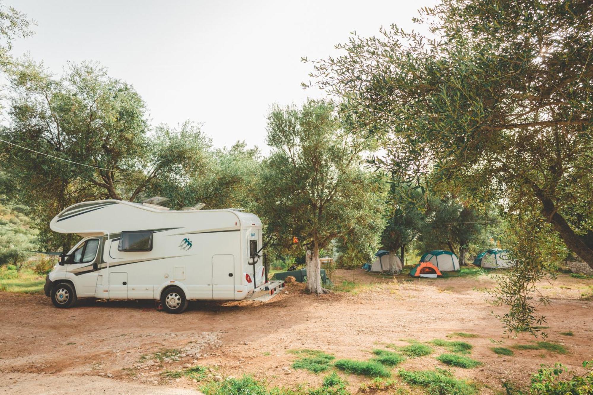 Olive Camping هيماري المظهر الخارجي الصورة