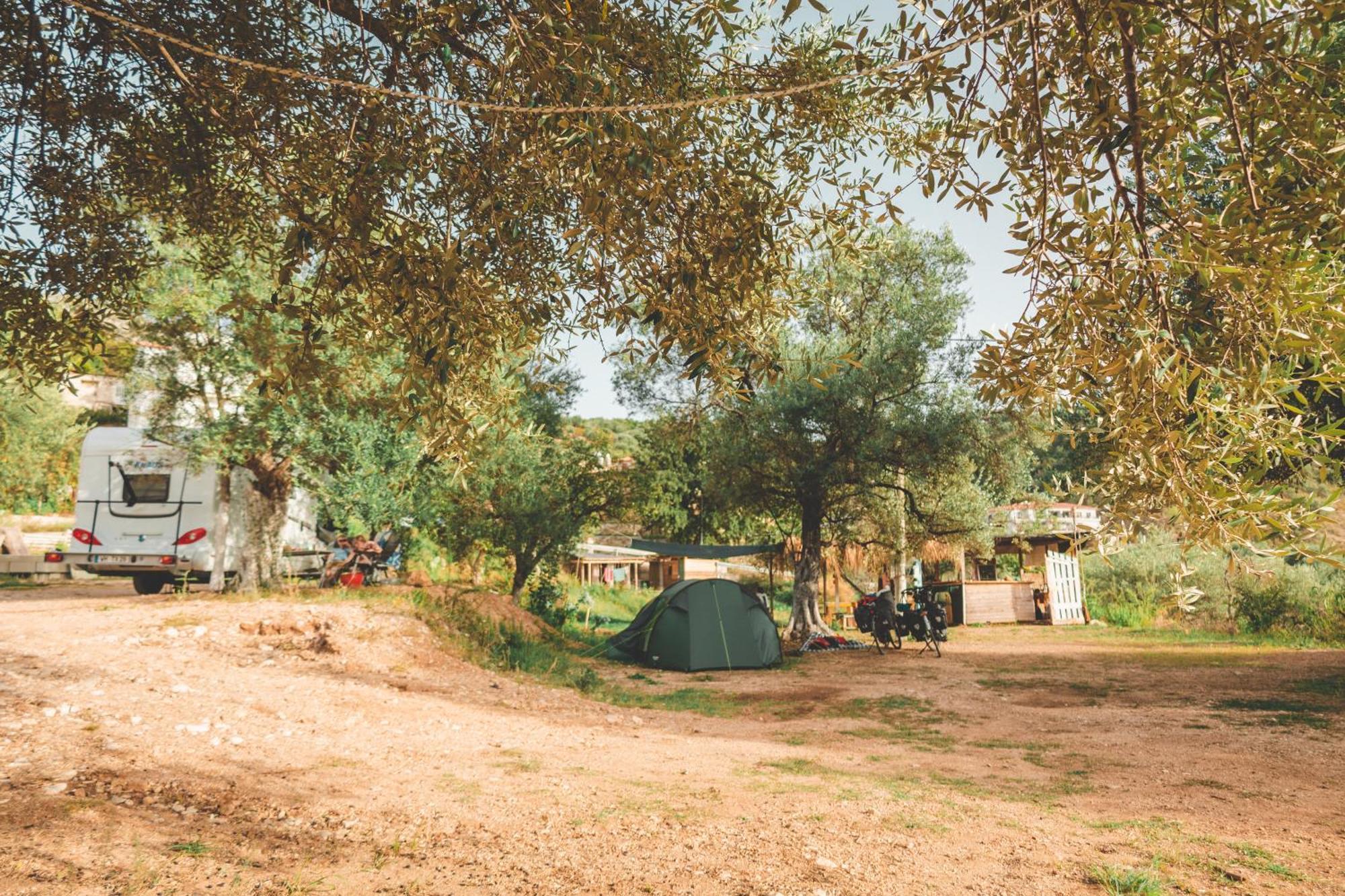 فندق Olive Camping هيماري المظهر الخارجي الصورة