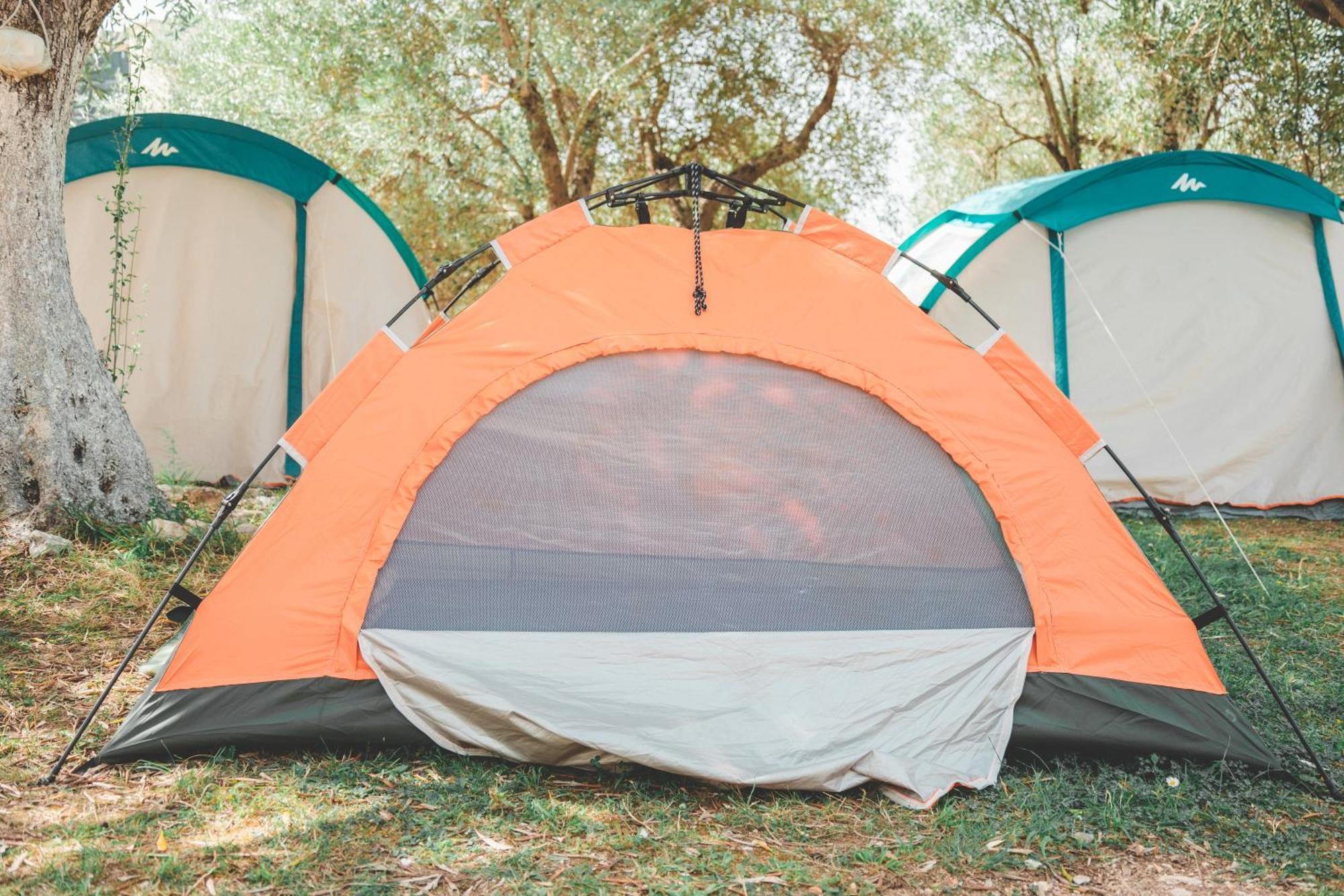 فندق Olive Camping هيماري المظهر الخارجي الصورة