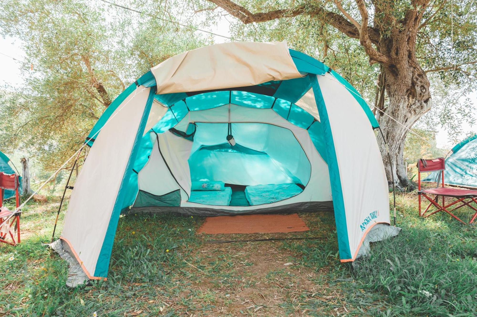 فندق Olive Camping هيماري المظهر الخارجي الصورة