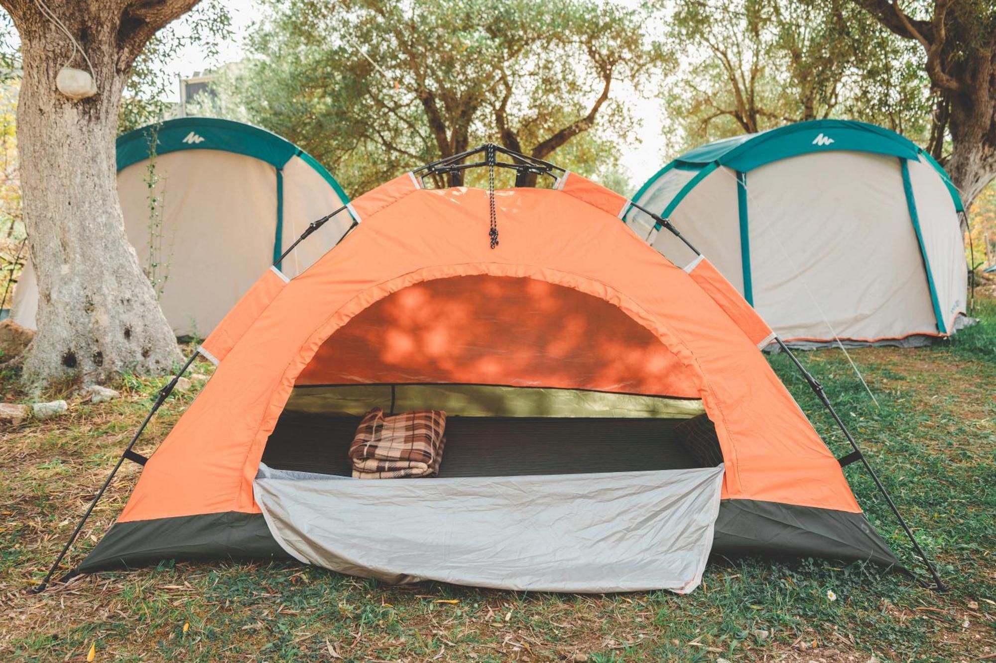 فندق Olive Camping هيماري المظهر الخارجي الصورة