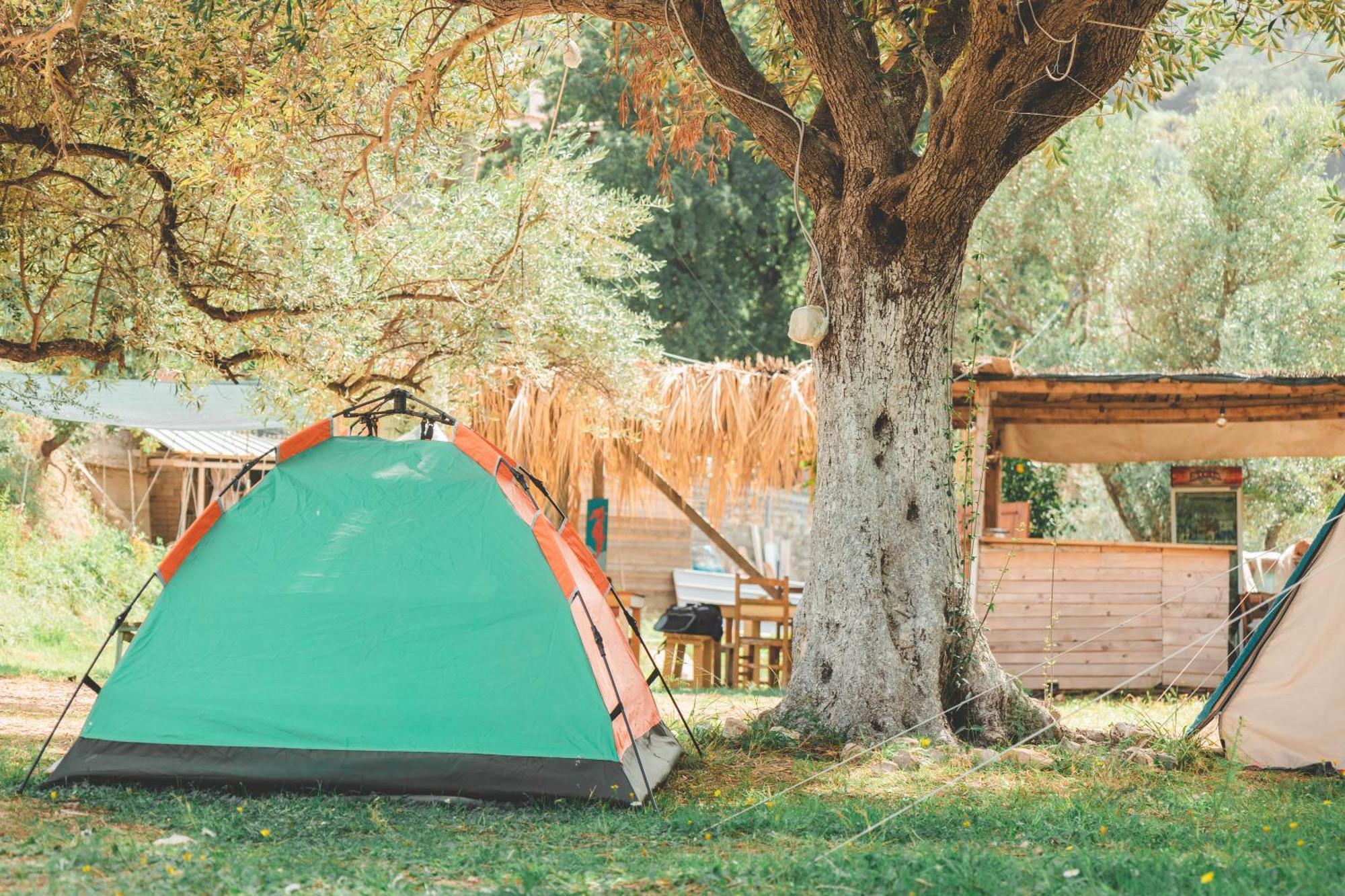 فندق Olive Camping هيماري المظهر الخارجي الصورة