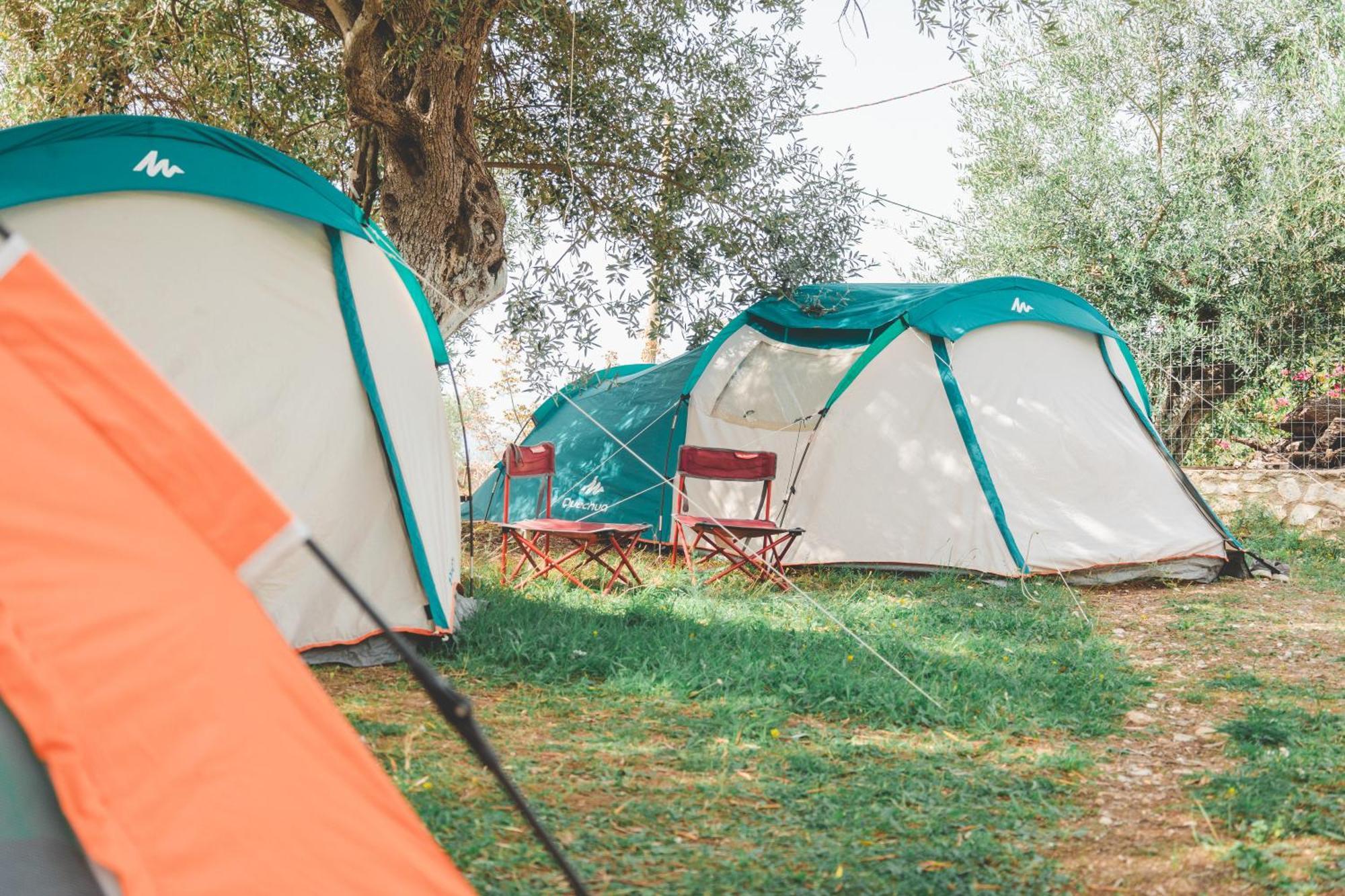 فندق Olive Camping هيماري المظهر الخارجي الصورة