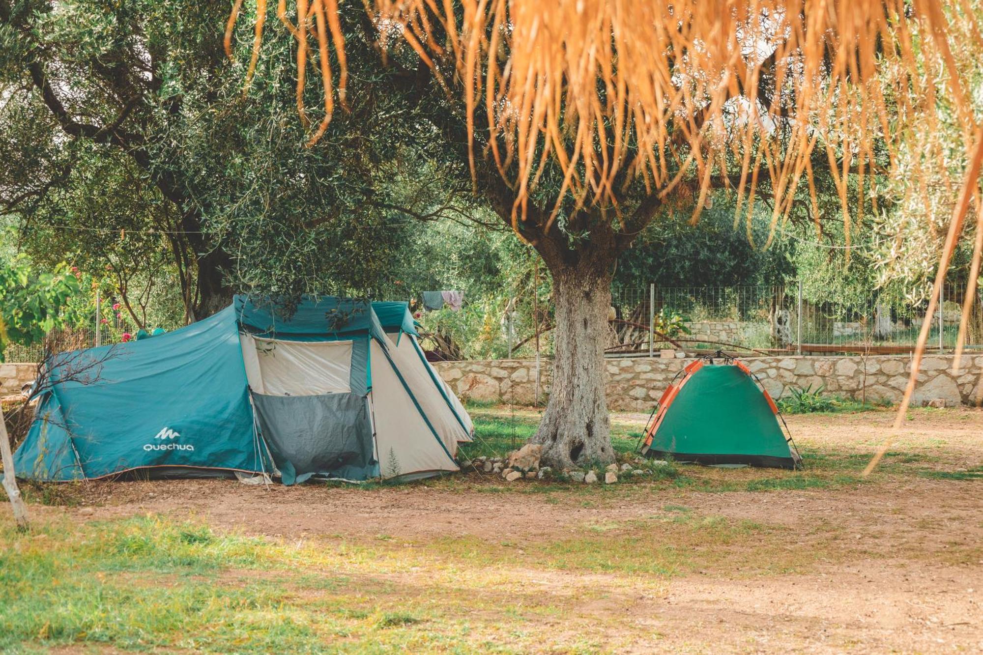 فندق Olive Camping هيماري المظهر الخارجي الصورة