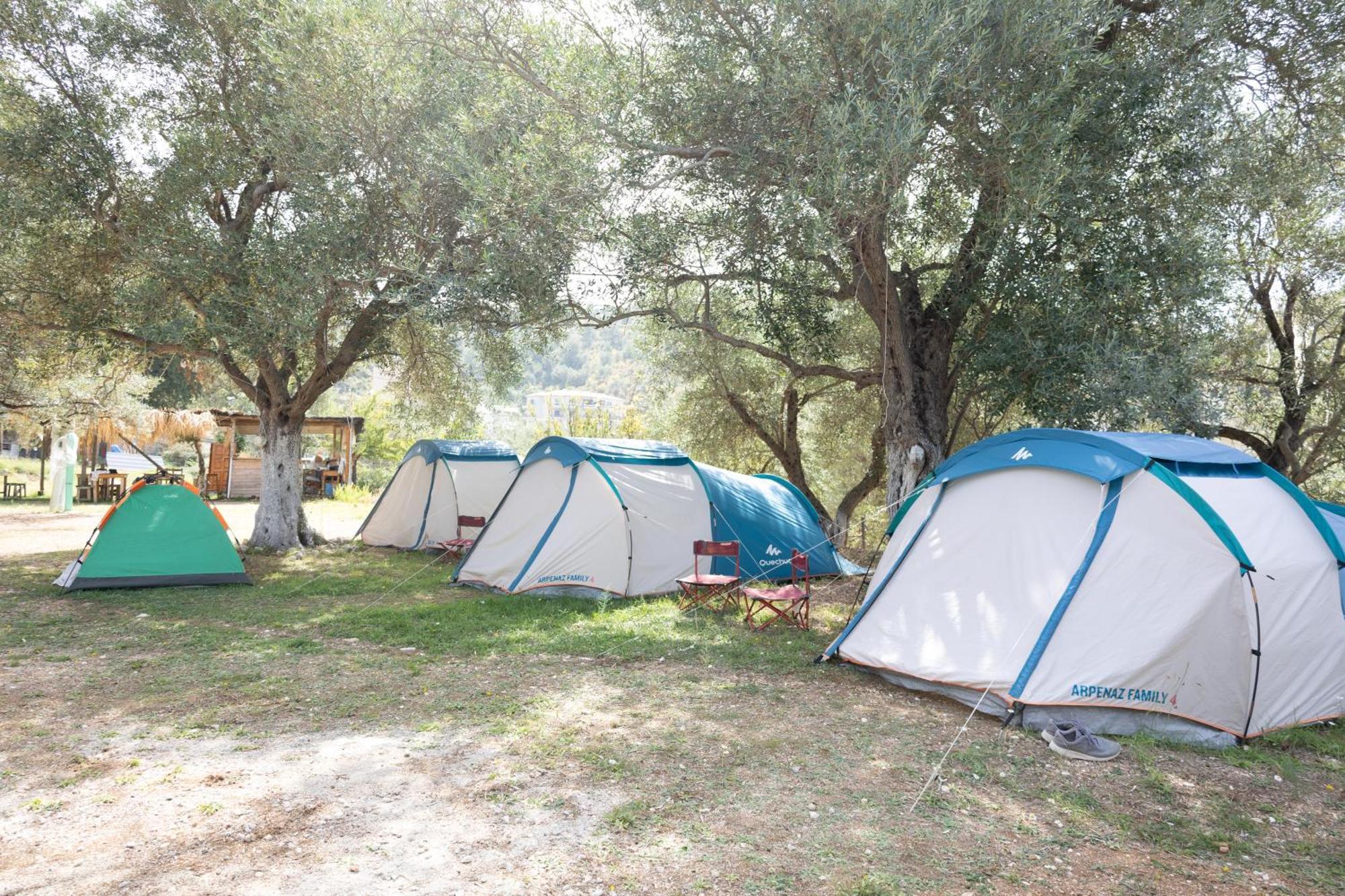 فندق Olive Camping هيماري المظهر الخارجي الصورة