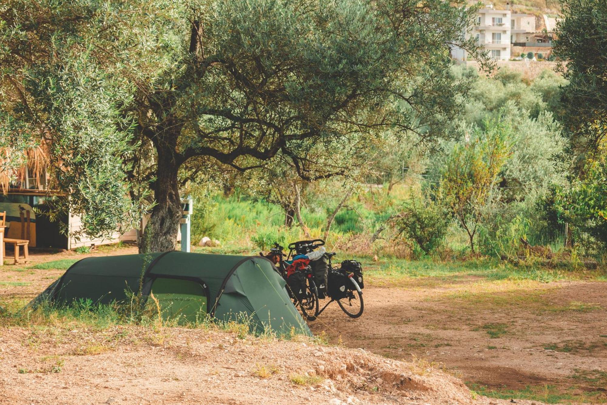 فندق Olive Camping هيماري المظهر الخارجي الصورة