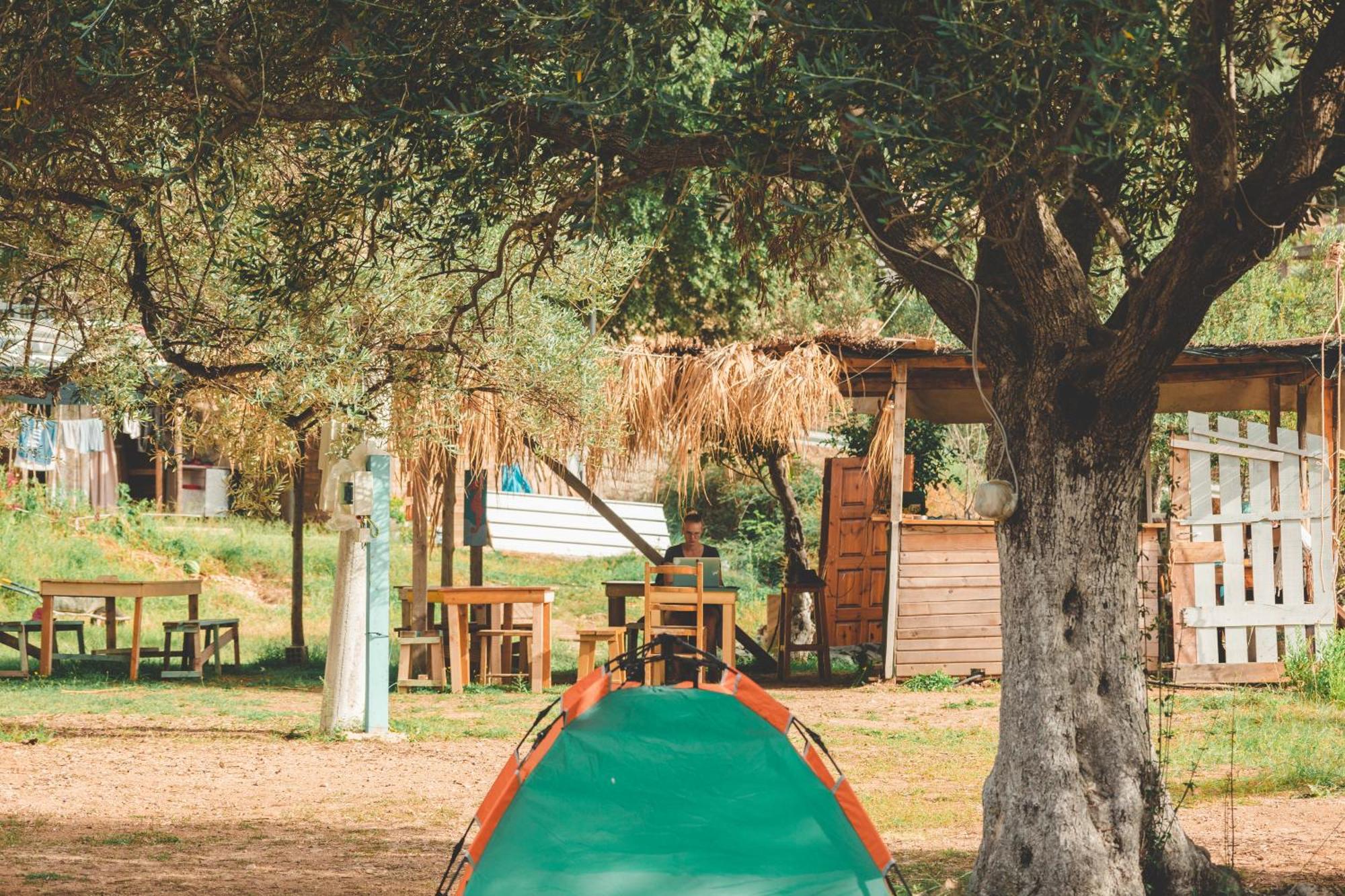 Olive Camping هيماري المظهر الخارجي الصورة