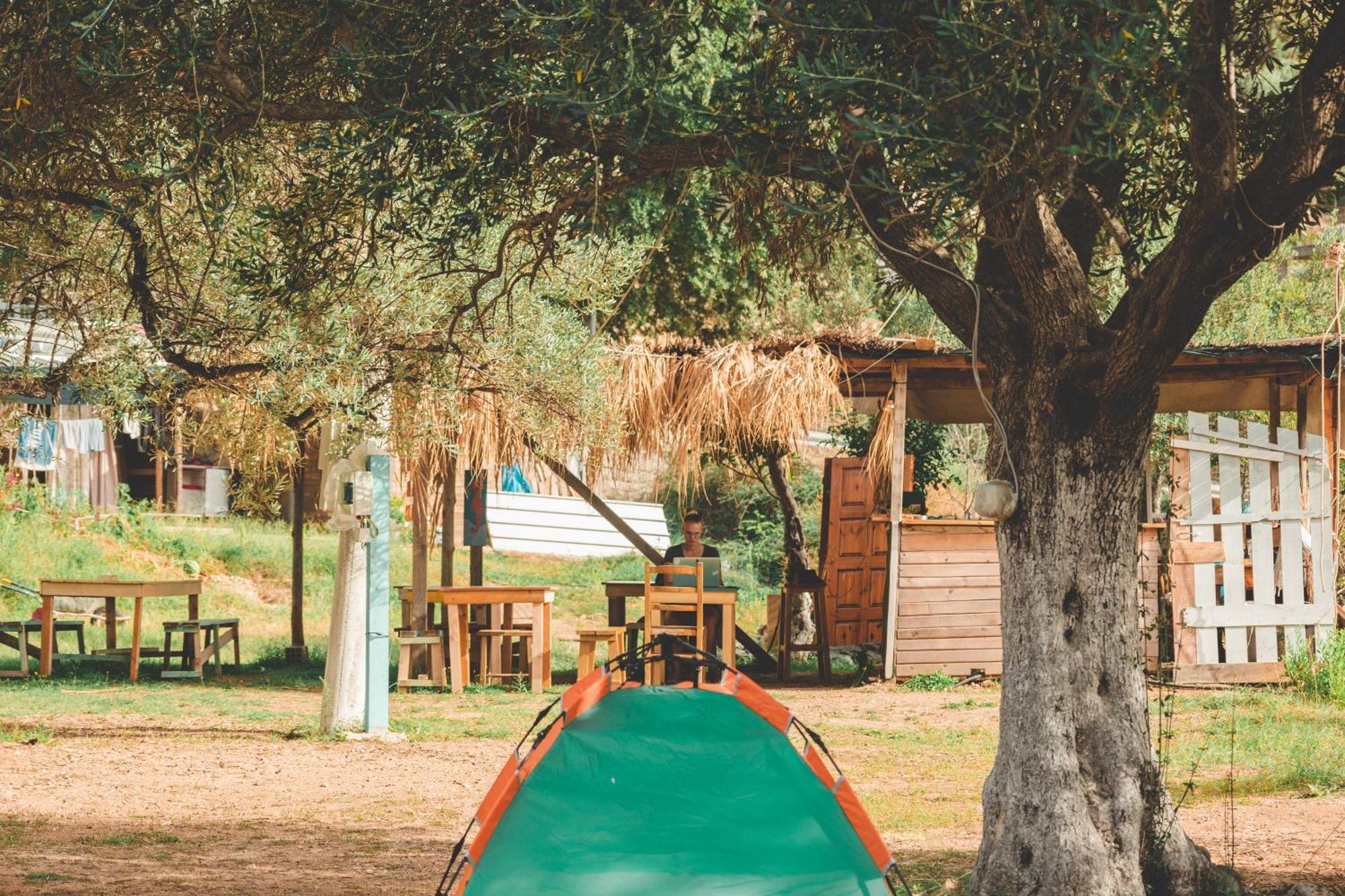 فندق Olive Camping هيماري المظهر الخارجي الصورة