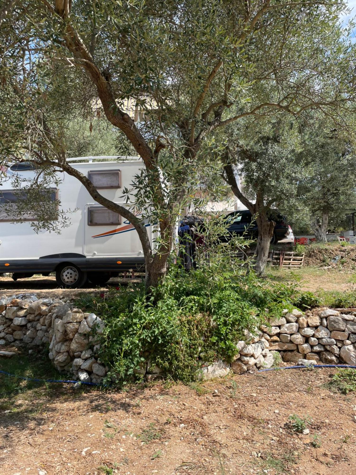 فندق Olive Camping هيماري المظهر الخارجي الصورة