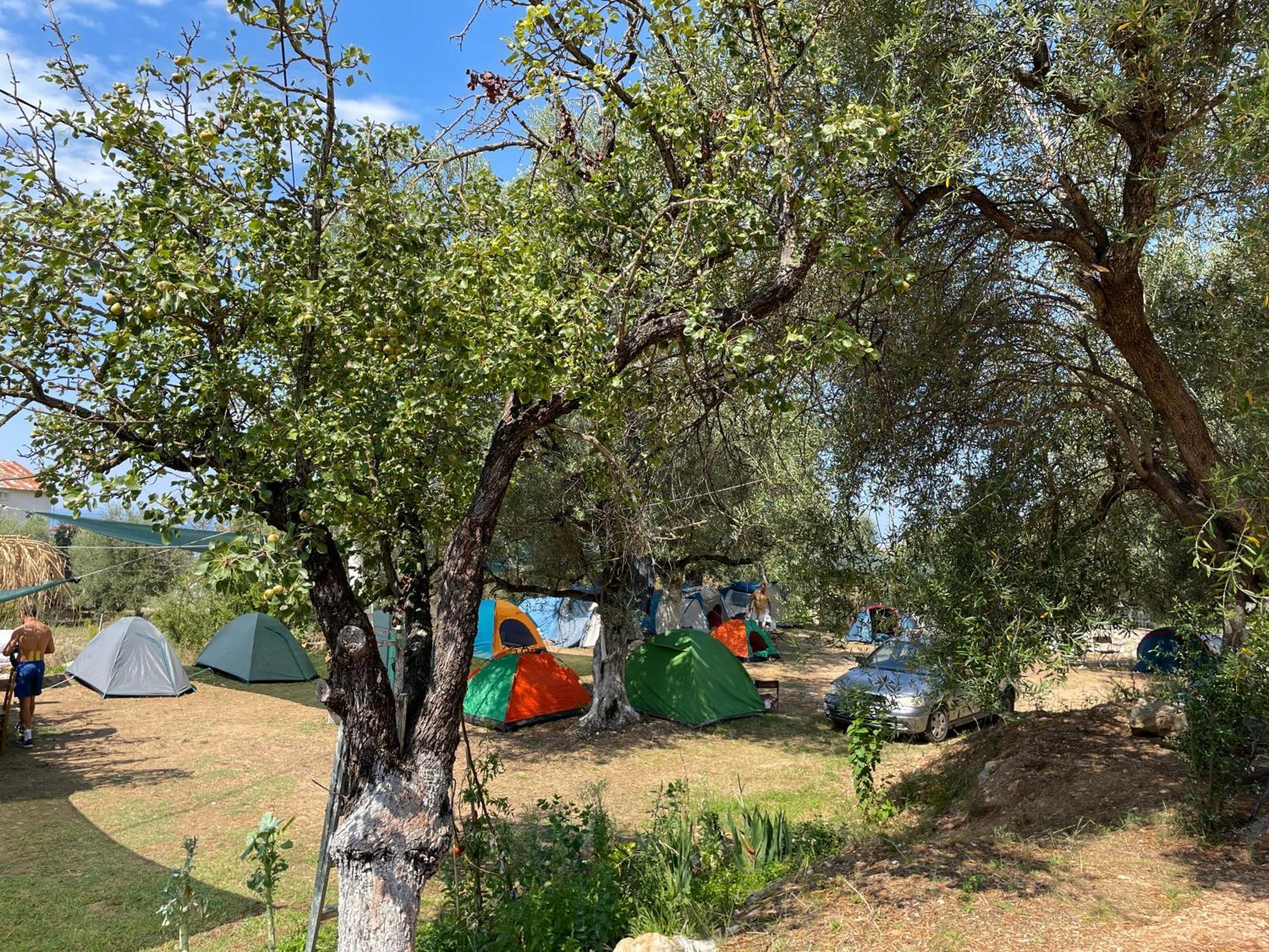 Olive Camping هيماري المظهر الخارجي الصورة