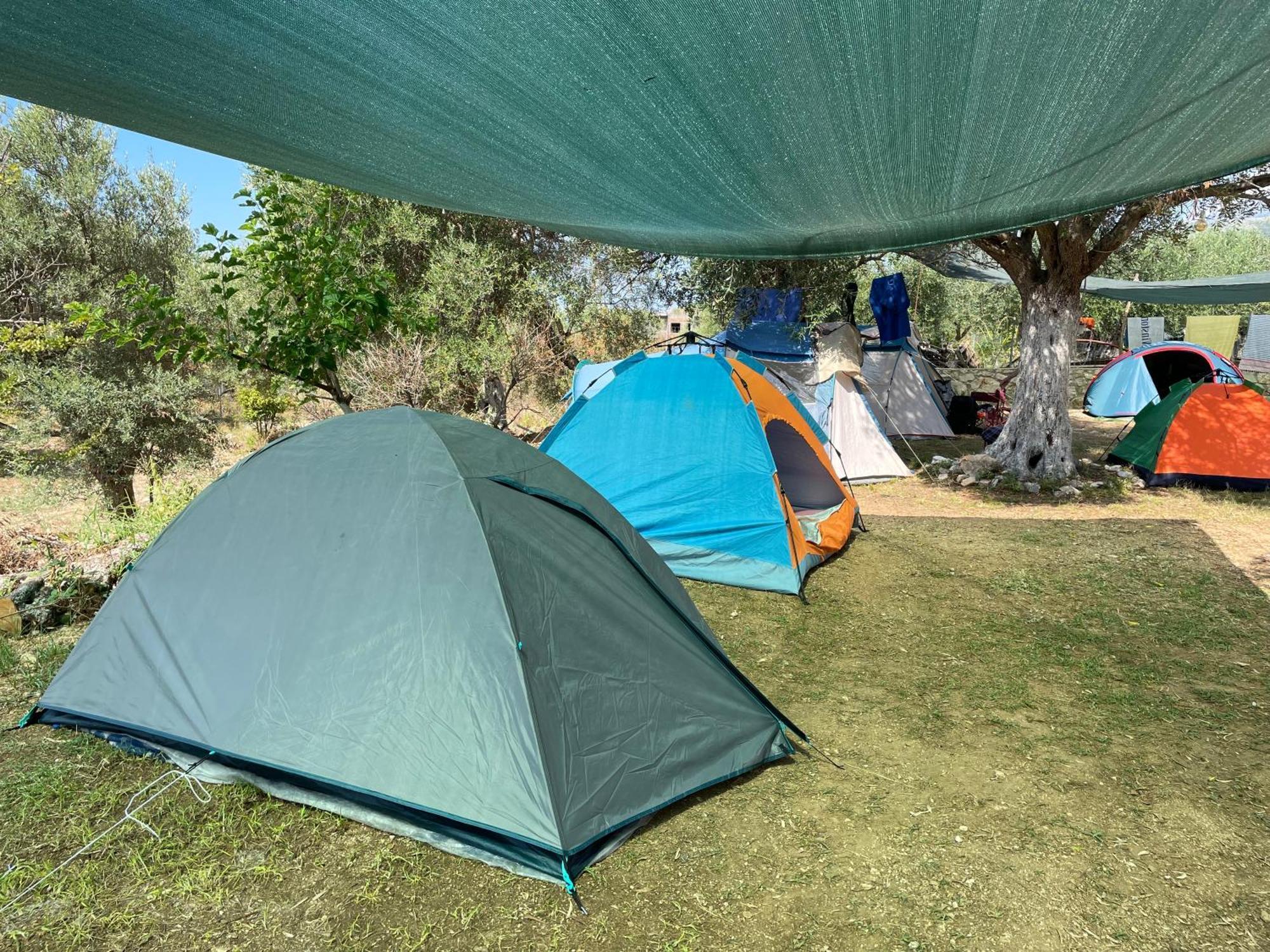 فندق Olive Camping هيماري المظهر الخارجي الصورة