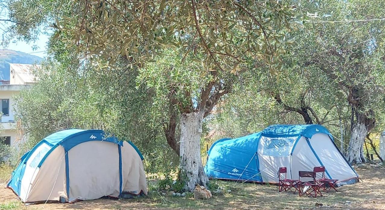 فندق Olive Camping هيماري المظهر الخارجي الصورة