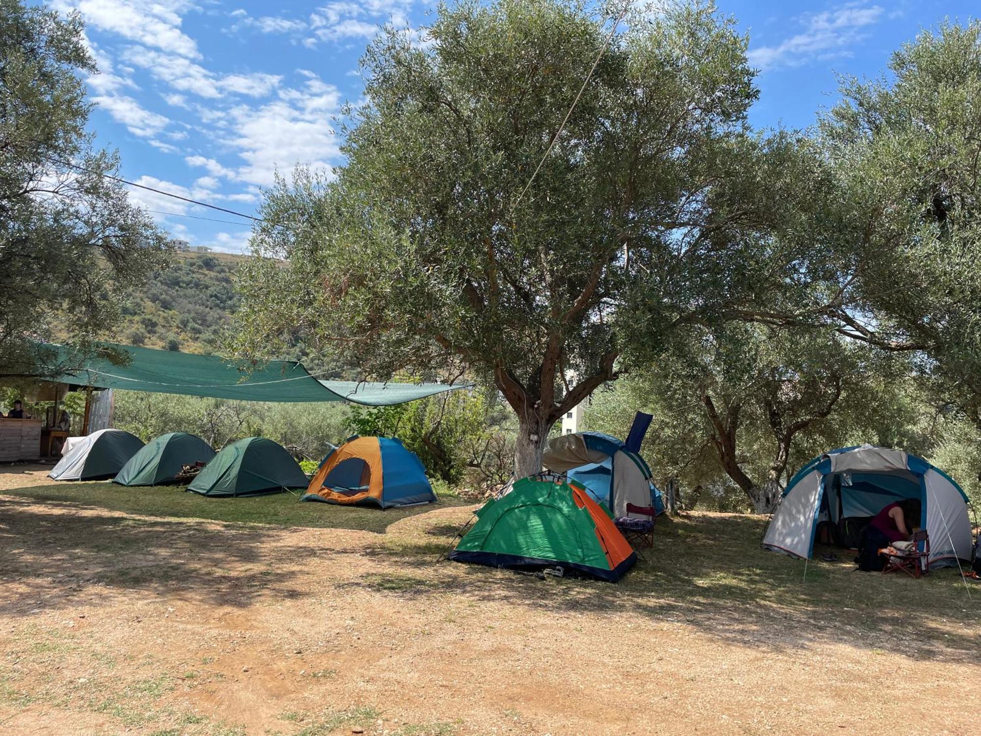 Olive Camping هيماري المظهر الخارجي الصورة